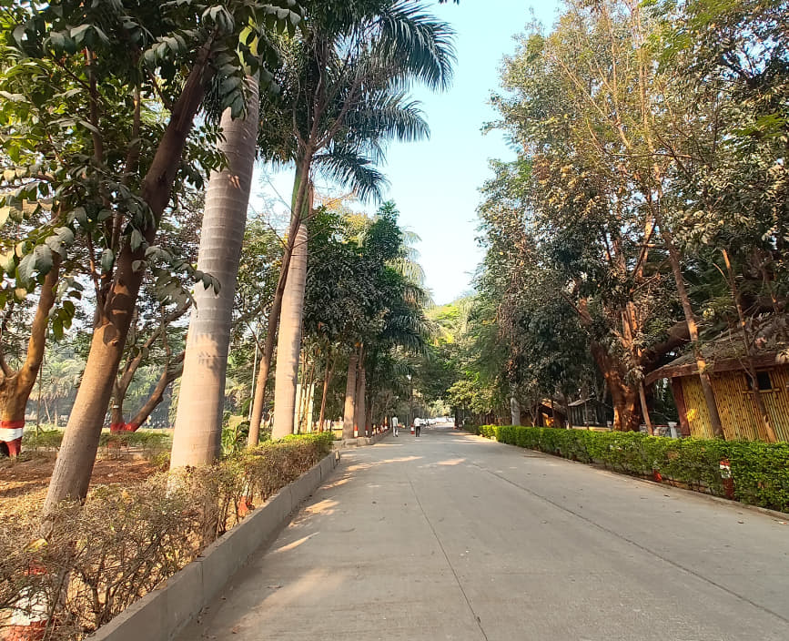 MITADT Campus photo 11